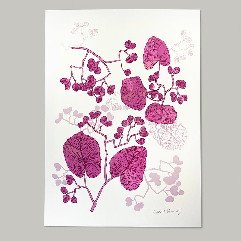 Begonia Print Begonia Print