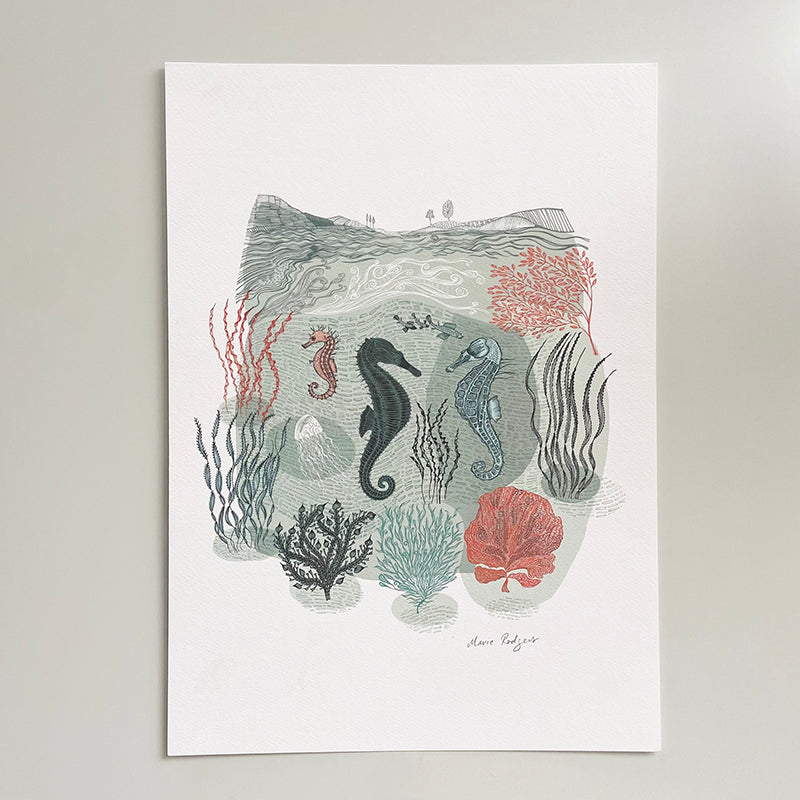 Coastal Seahorse Print Coastal Seahorse Print