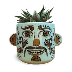 Plant pot with moustached funny face containing a spiky succulent plant