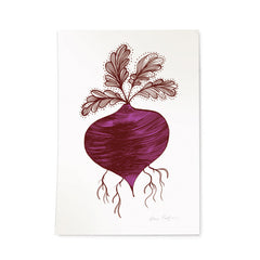 Lush Designs print on heavy textured paper of a beetroot