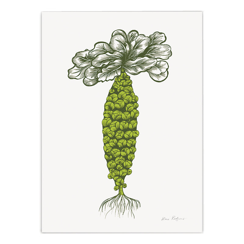 Brussels Sprouts Print Brussels Sprouts Print