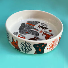 Dog Bowl