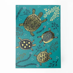 Terrapin CARD