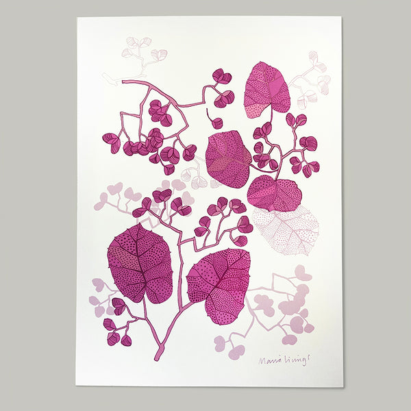 Begonia Print