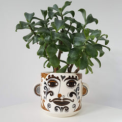 Funny-face plant pot with ears bearing a succulent plant