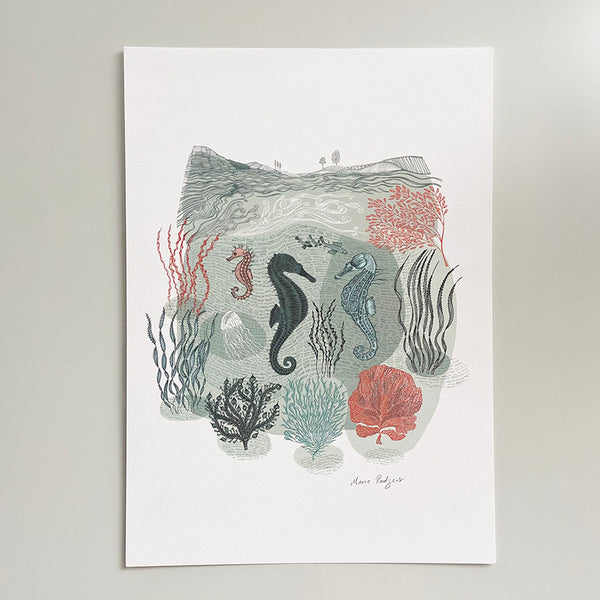 Coastal Seahorse Print
