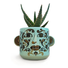 Lush Designs plant pot with clown like ladies face coloured green, and 3D ears containing succulent plant