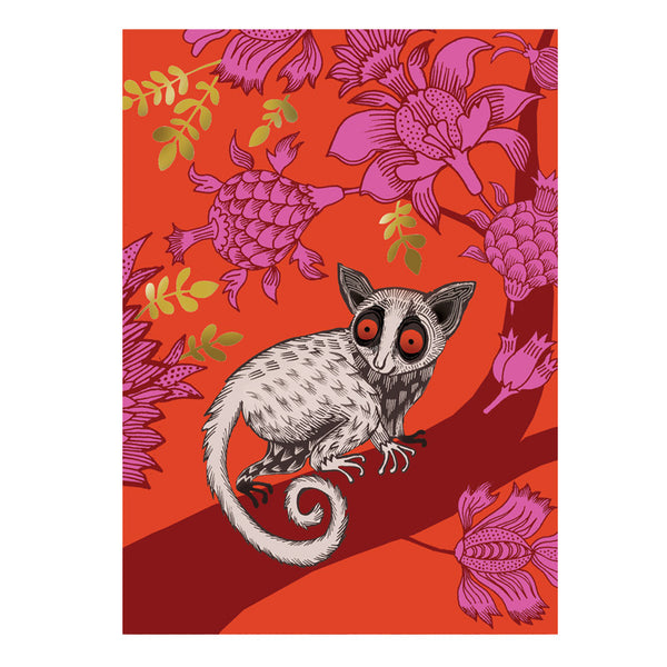 Bush Baby Card