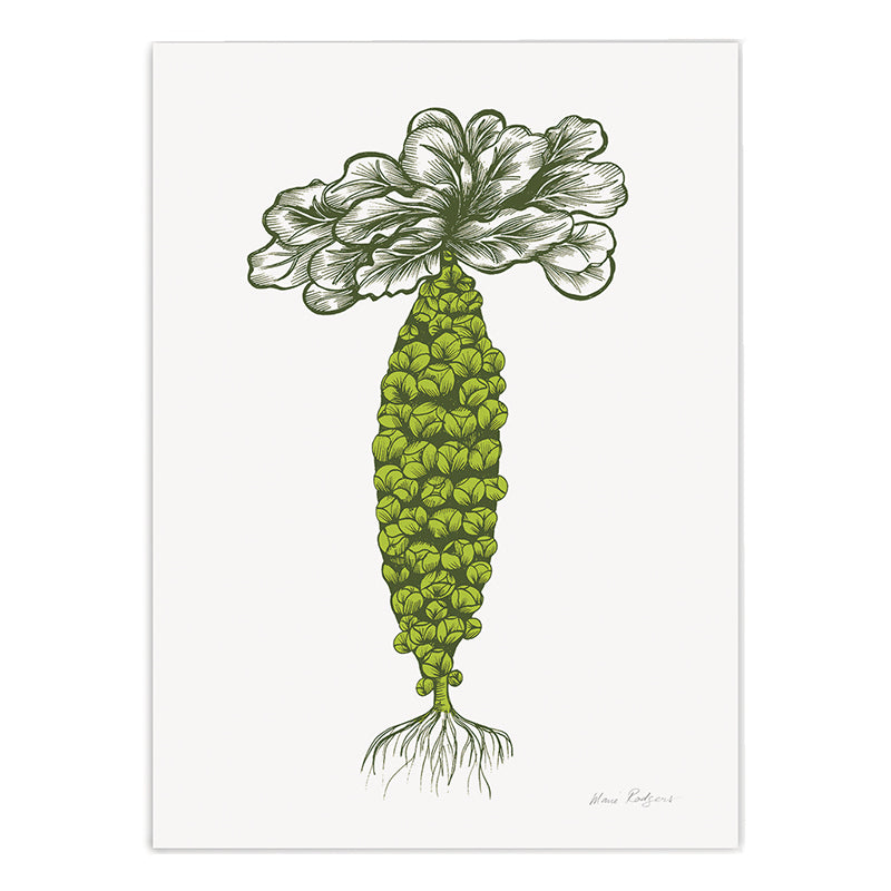 Brussels Sprouts Print