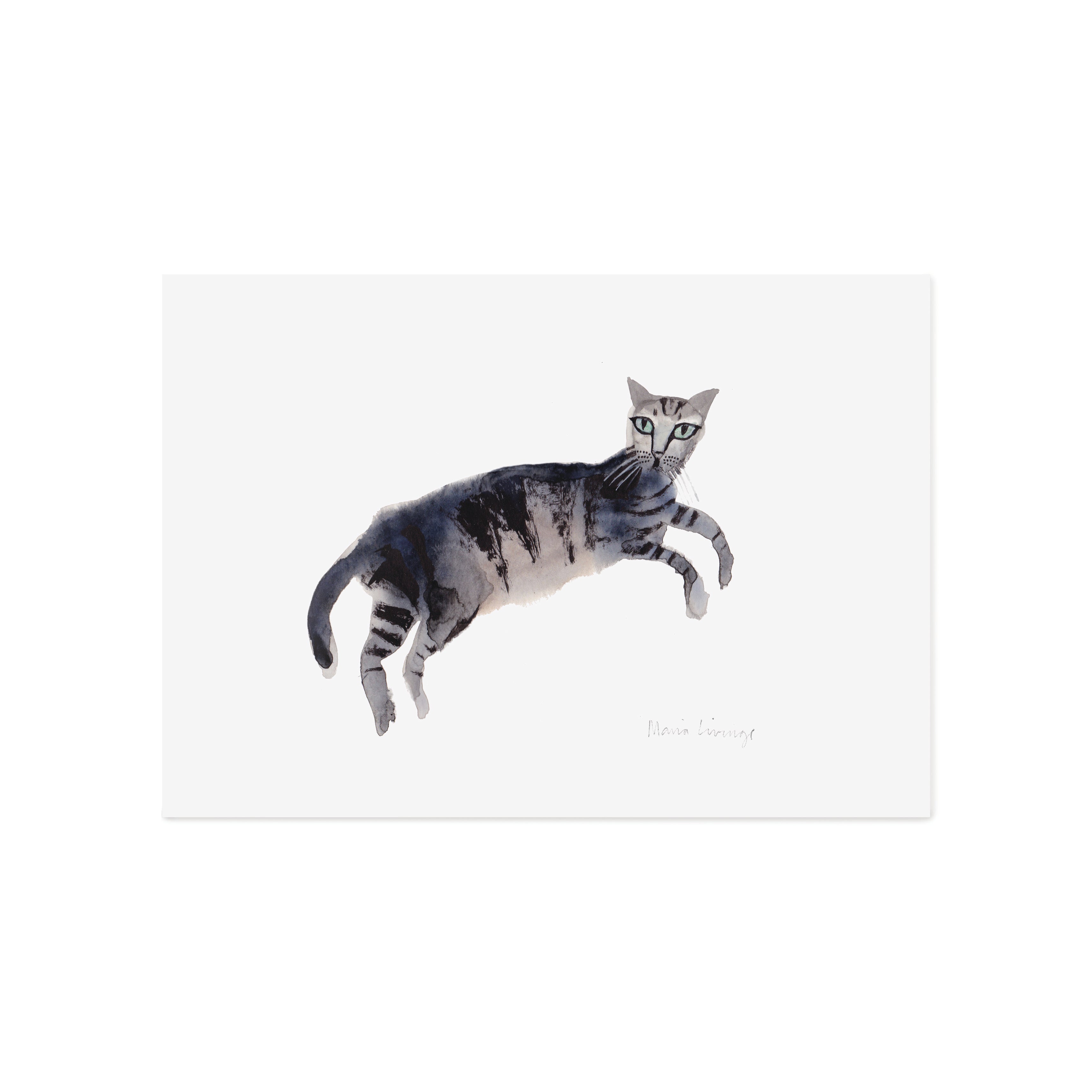 Stripy Cat Print Lush Designs Stripy Cat Print Lush Designs